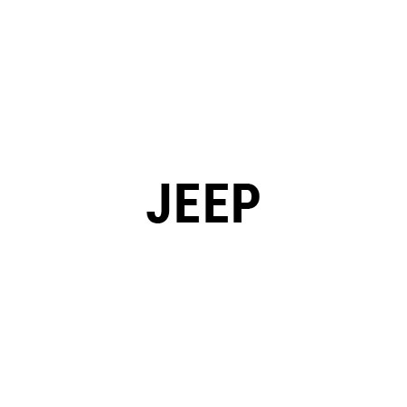 Filtr cząstek stałych Jeep