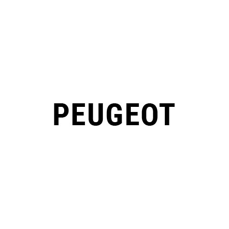 Filtr cząstek stałych Peugeot